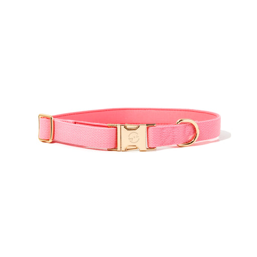 PINK DOG COLLAR