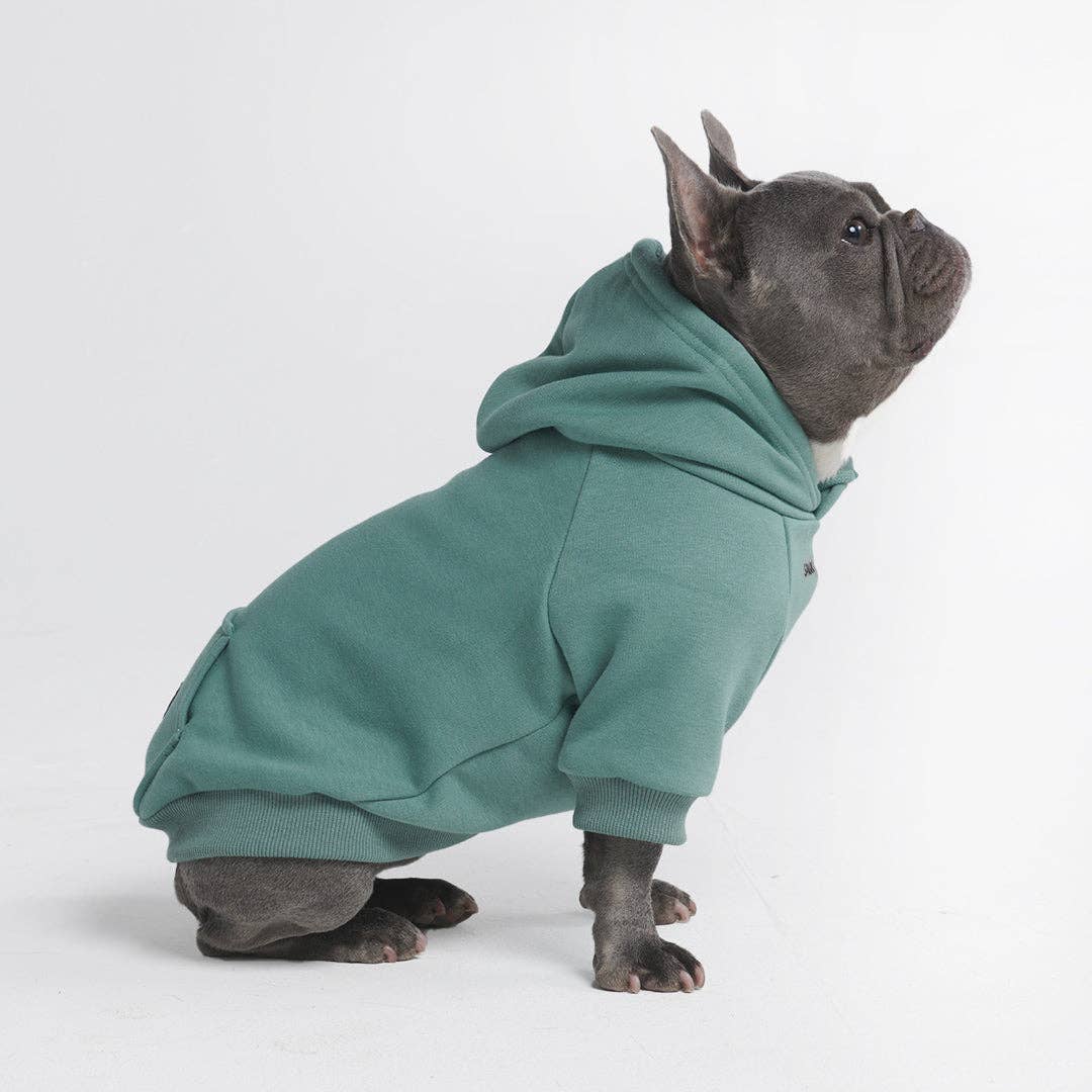 Teal Dog Hoodie