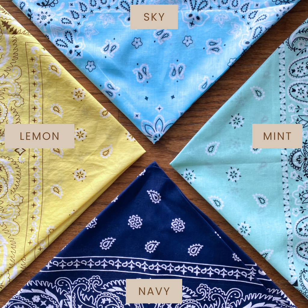 Classic Bandanas