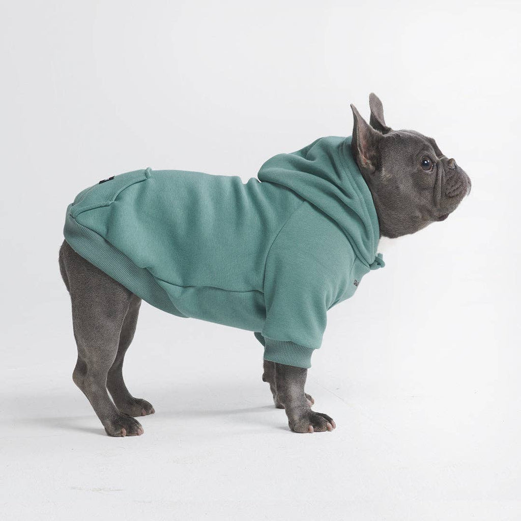Teal Dog Hoodie