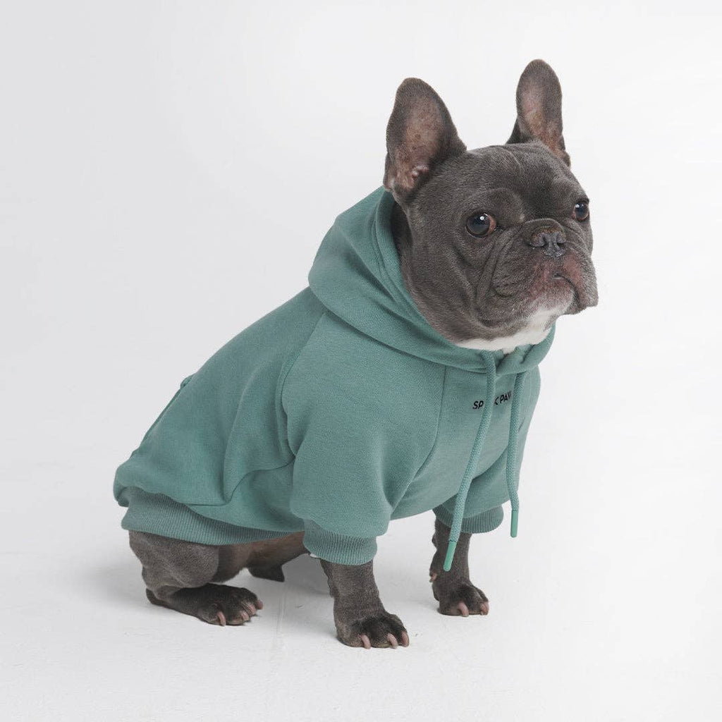 Teal Dog Hoodie