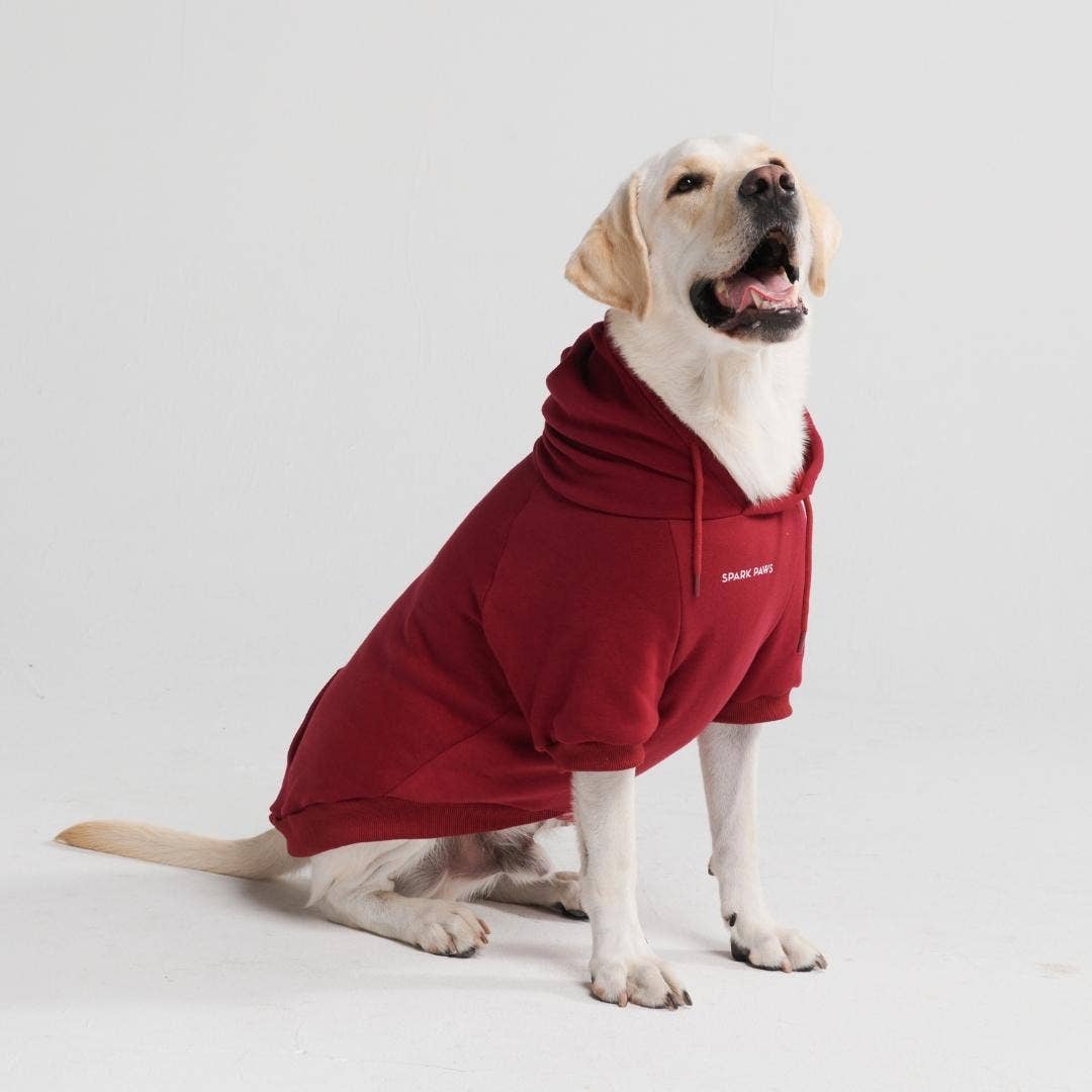 Burgundy Red Dog Hoodie
