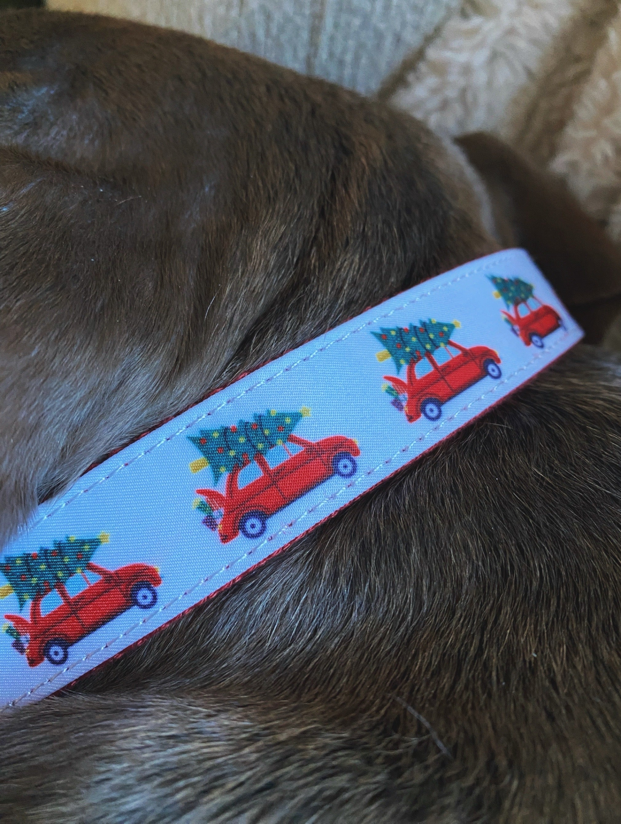 CHRISTMAS CAR MARTINGALE DOG COLLAR