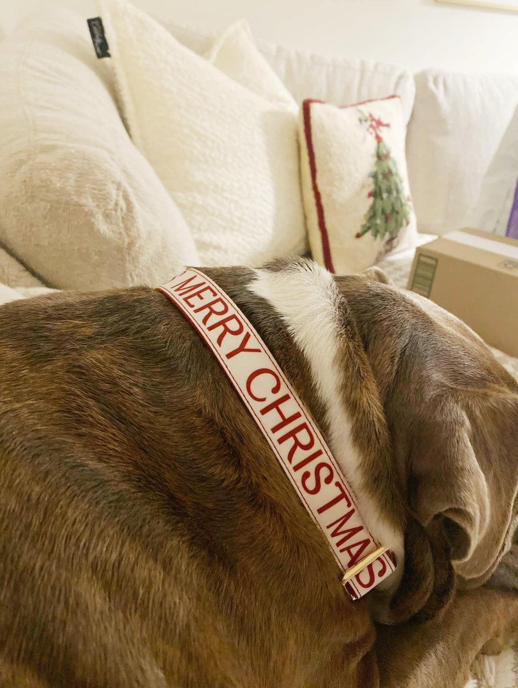 MERRY CHRISTMAS MARTINGALE DOG COLLAR