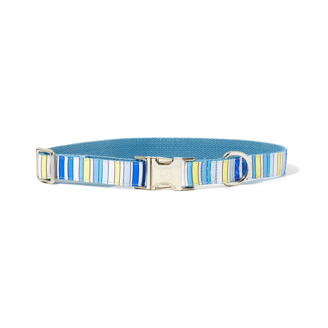 BUDDY STRIPE DOG COLLAR