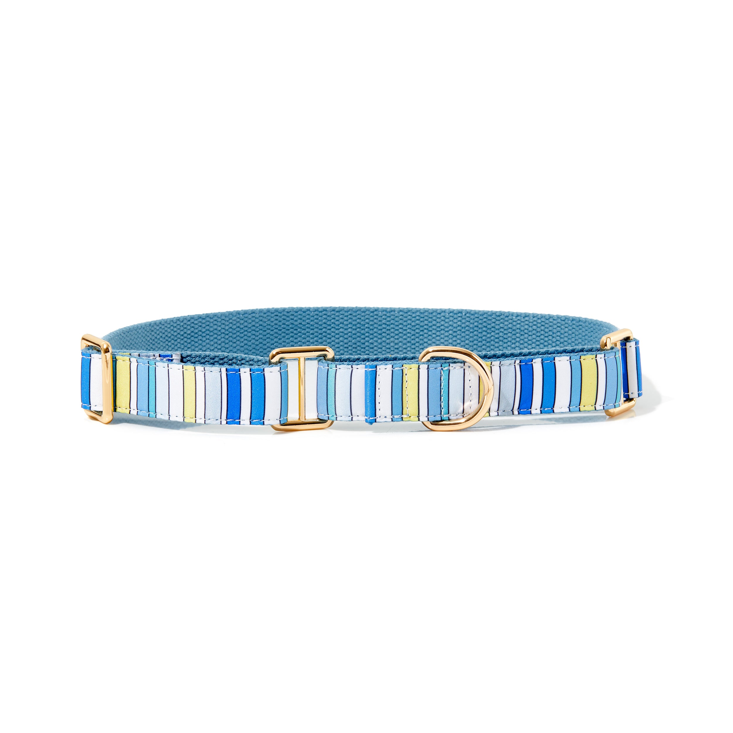 BUDDY STRIPE MARTINGALE DOG COLLAR