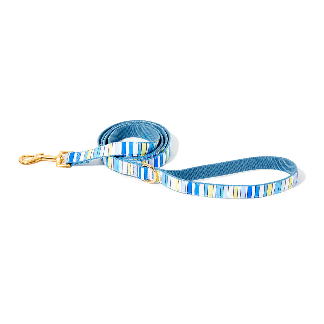 BUDDY STRIPE DOG LEASH