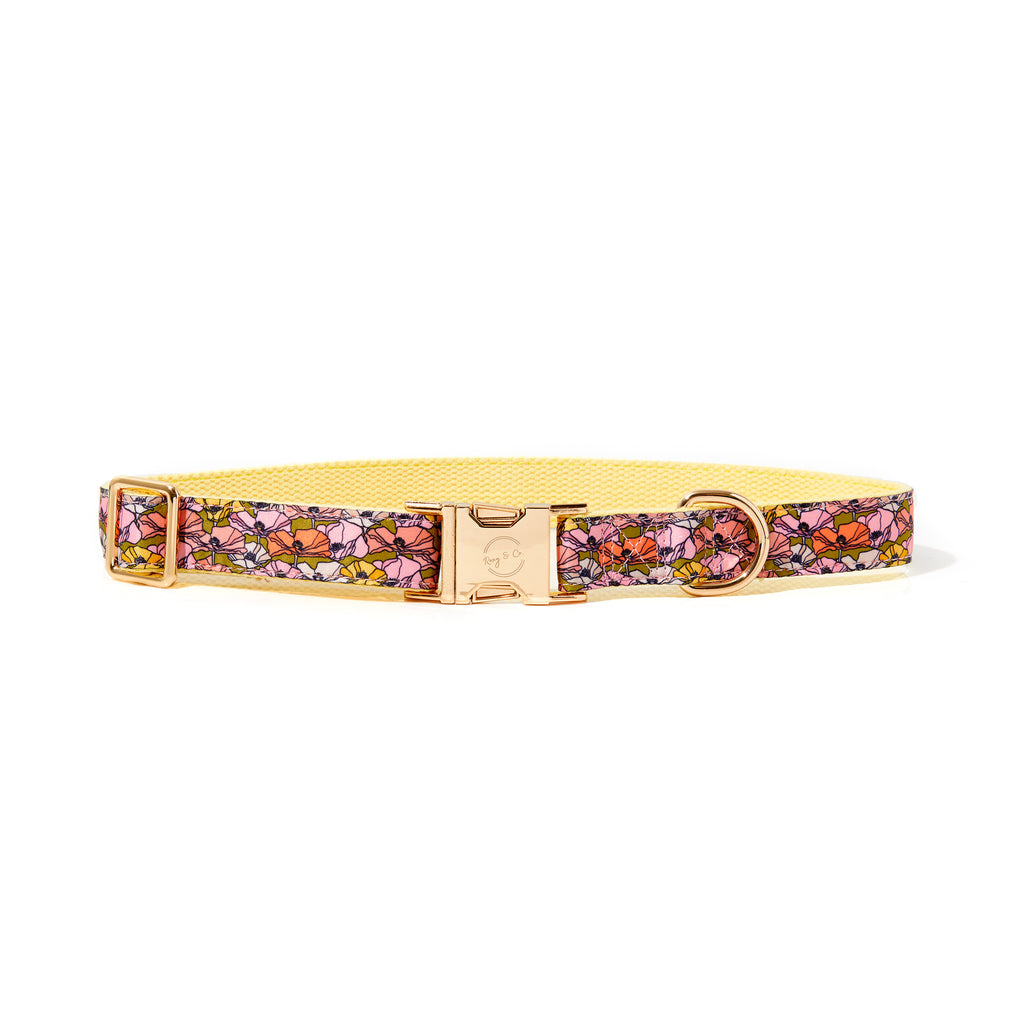 ANNIE DOG COLLAR