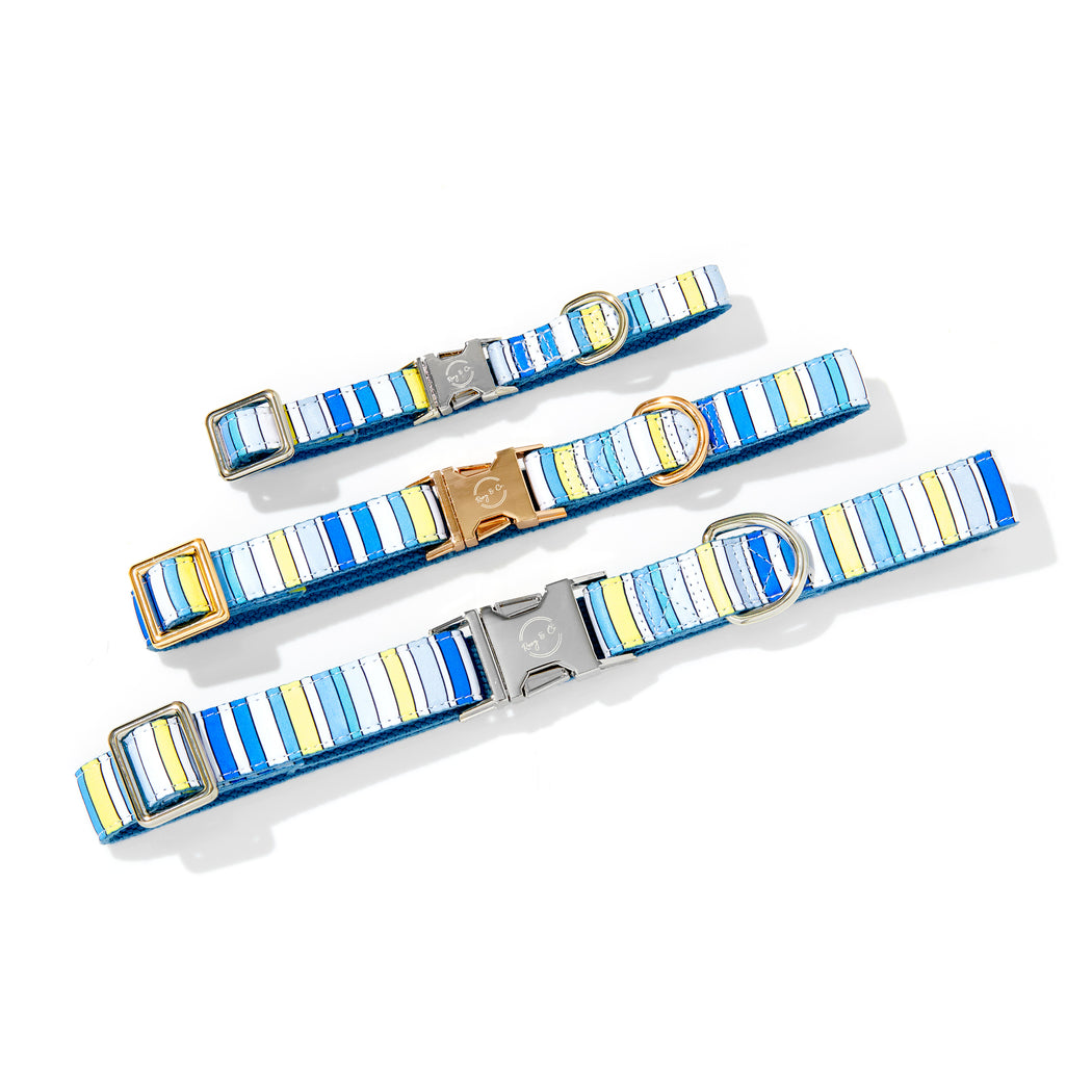 BUDDY STRIPE DOG COLLAR