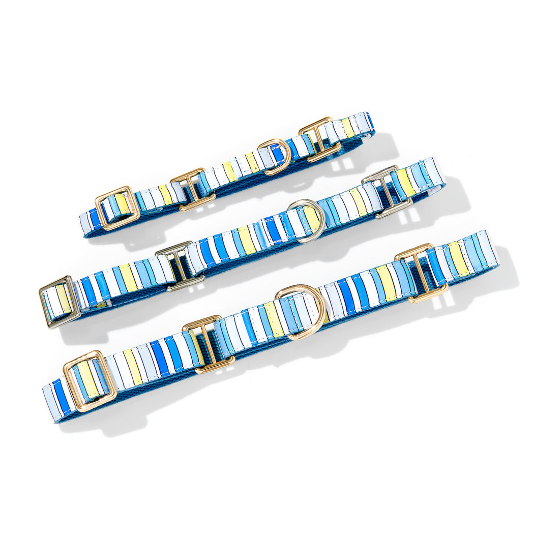 BUDDY STRIPE MARTINGALE DOG COLLAR