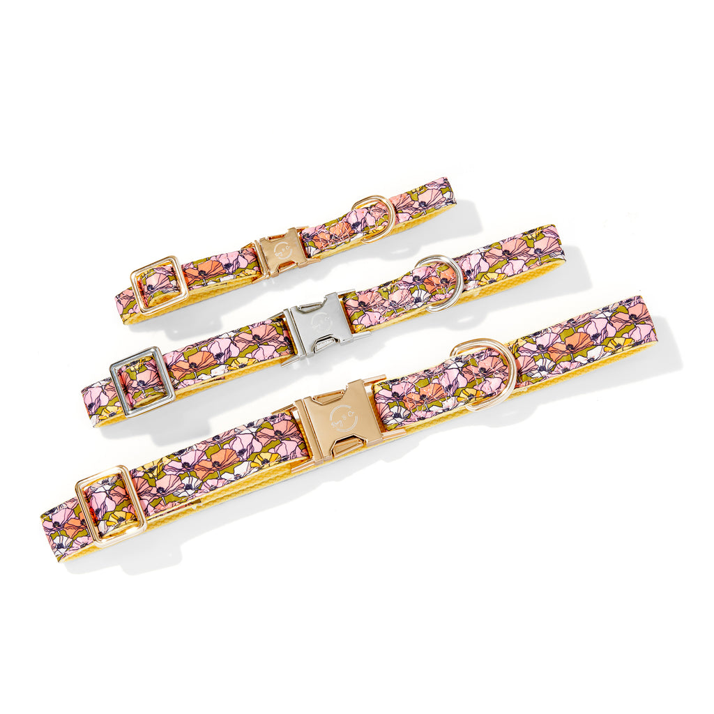 ANNIE DOG COLLAR