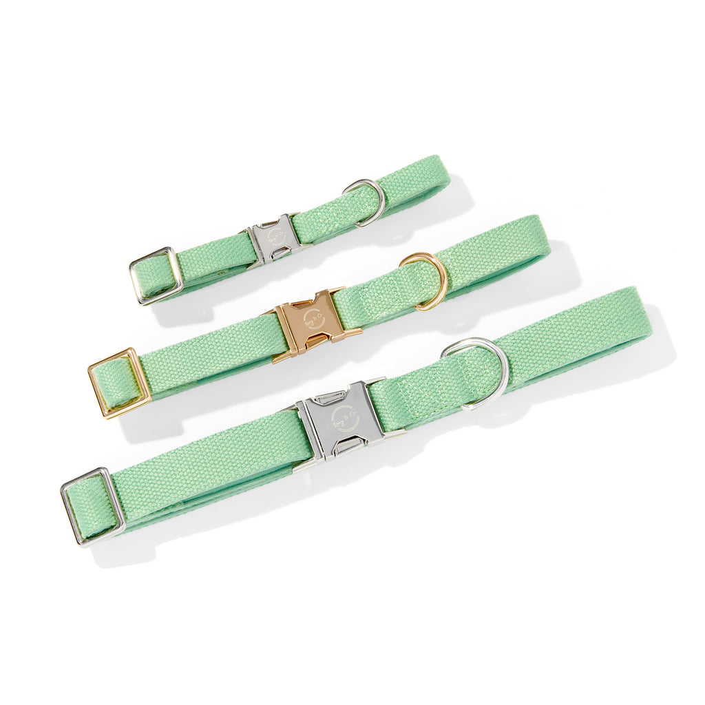 SAGE GREEN DOG COLLAR