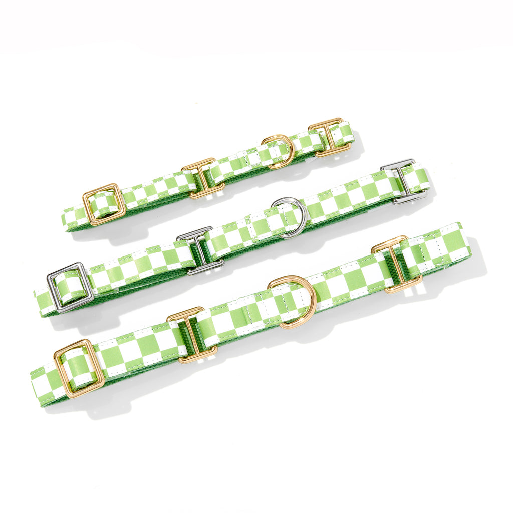 GREEN CHECKERED MARTINGALE DOG COLLAR