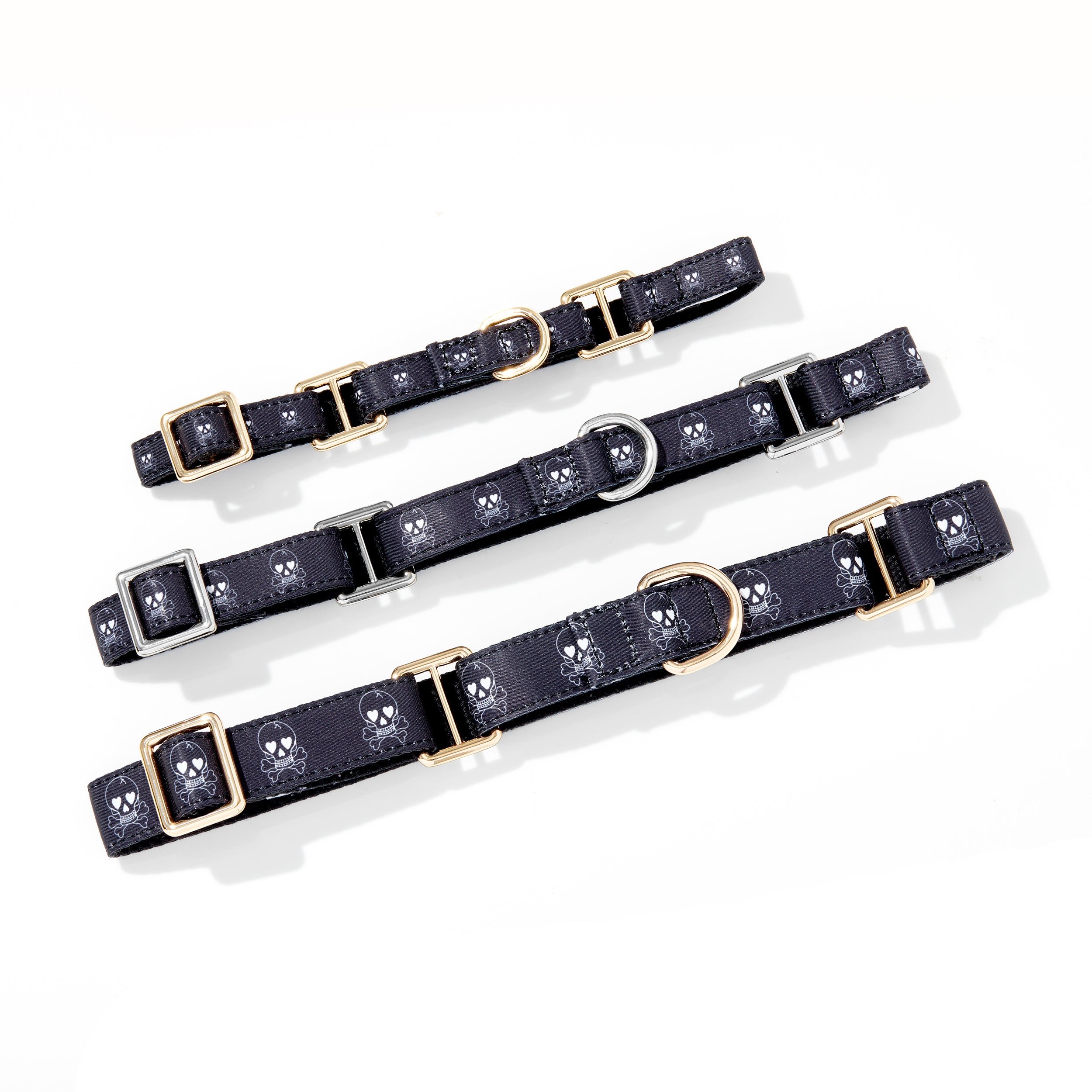 SPANKY MARTINGALE DOG COLLAR