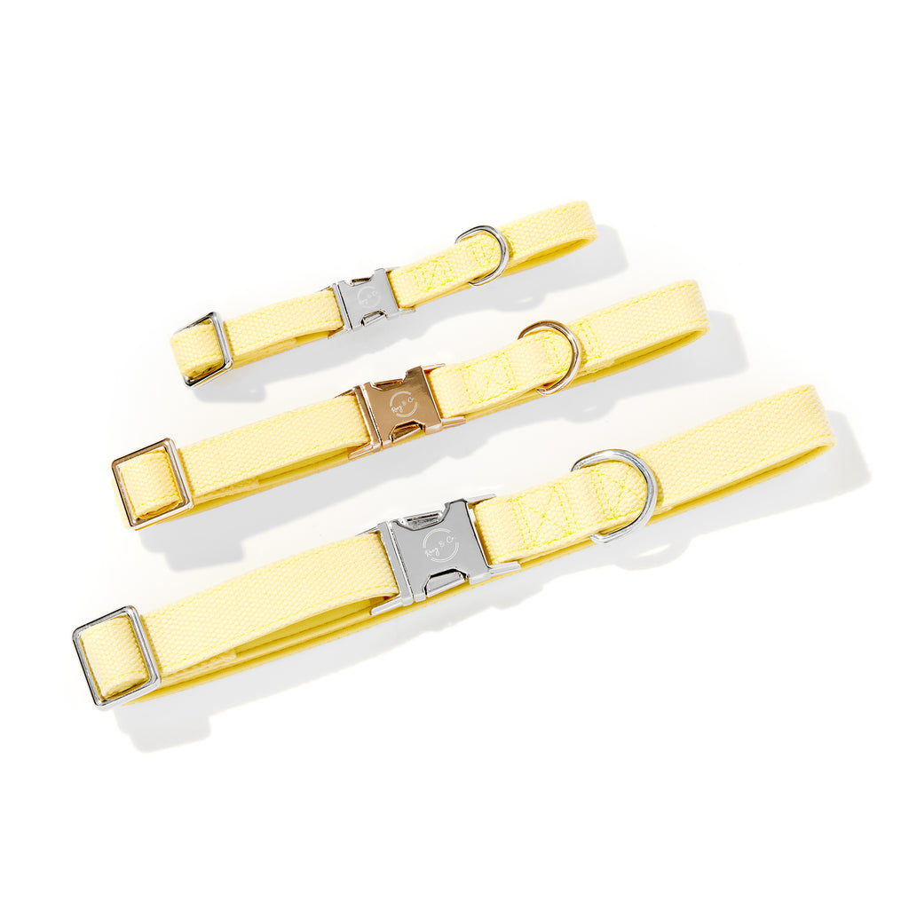 YELLOW DOG COLLAR