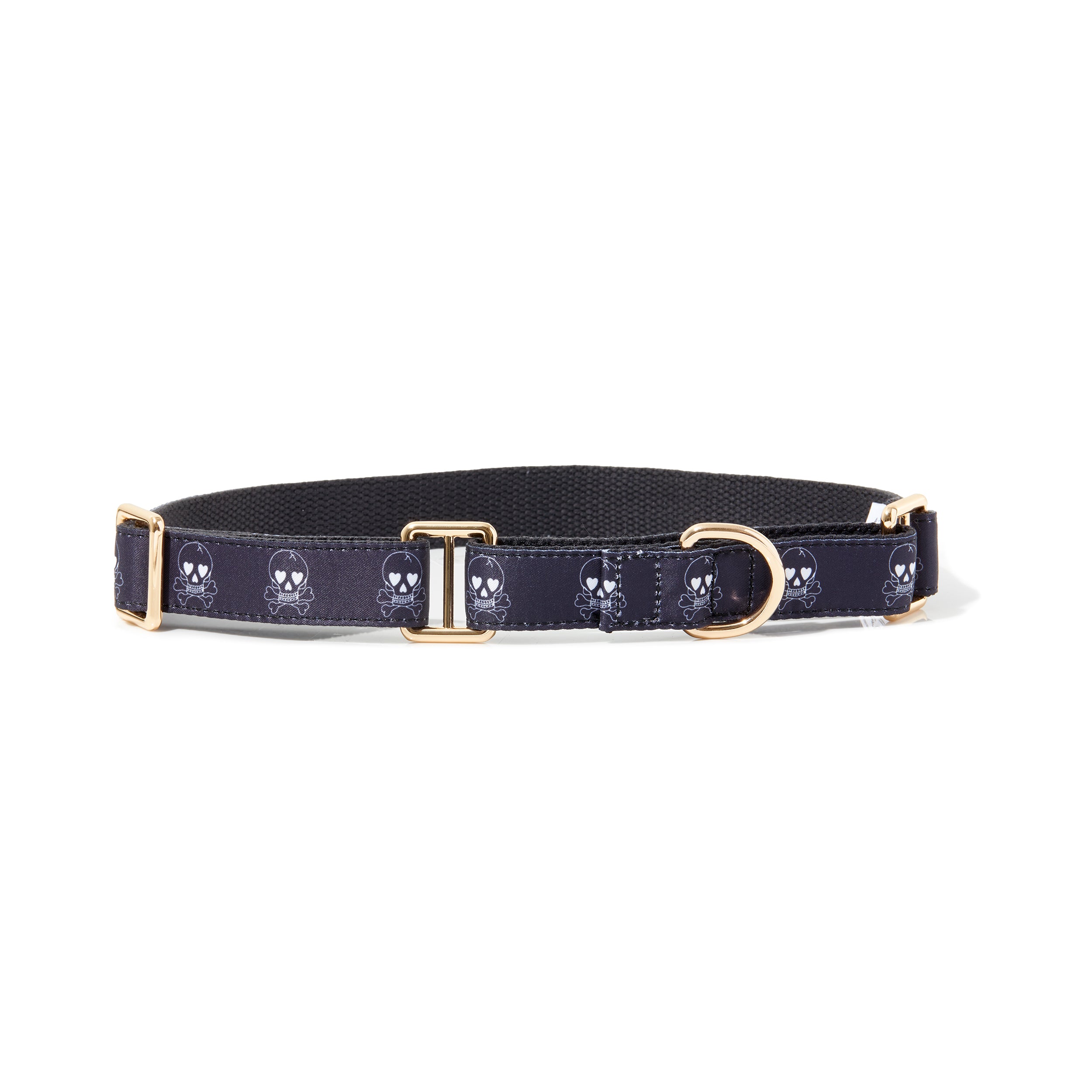 SPANKY MARTINGALE DOG COLLAR