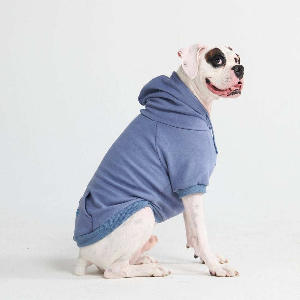 Slate Blue Dog Hoodie