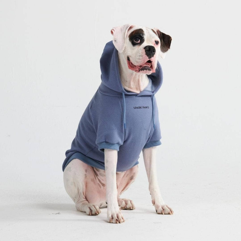 Slate Blue Dog Hoodie