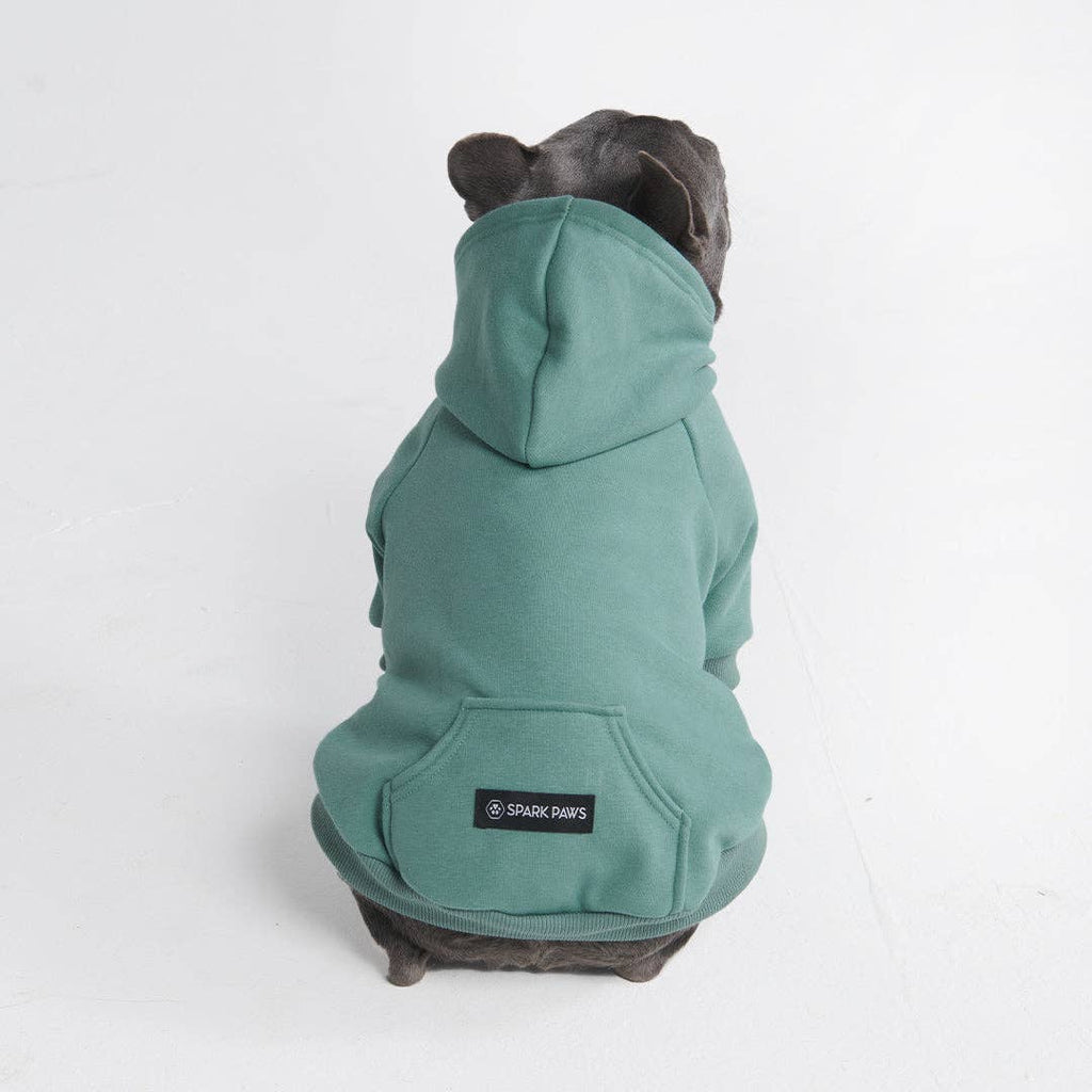 Teal Dog Hoodie