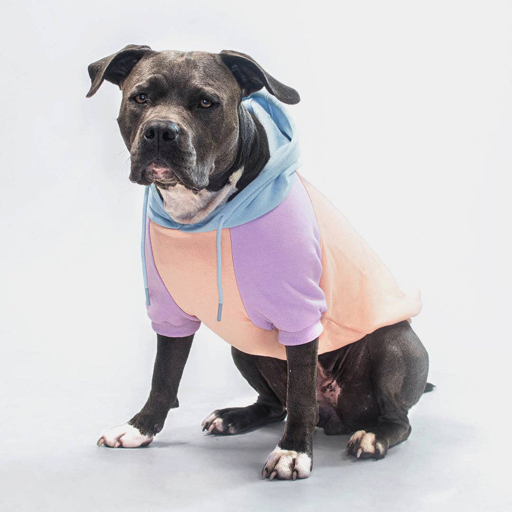 Cotton Candy Dog Hoodie