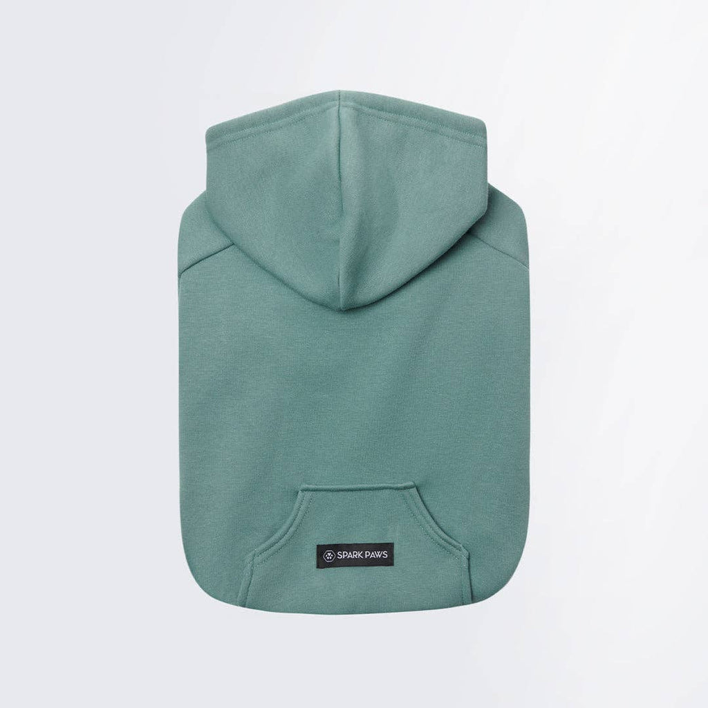 Teal Dog Hoodie