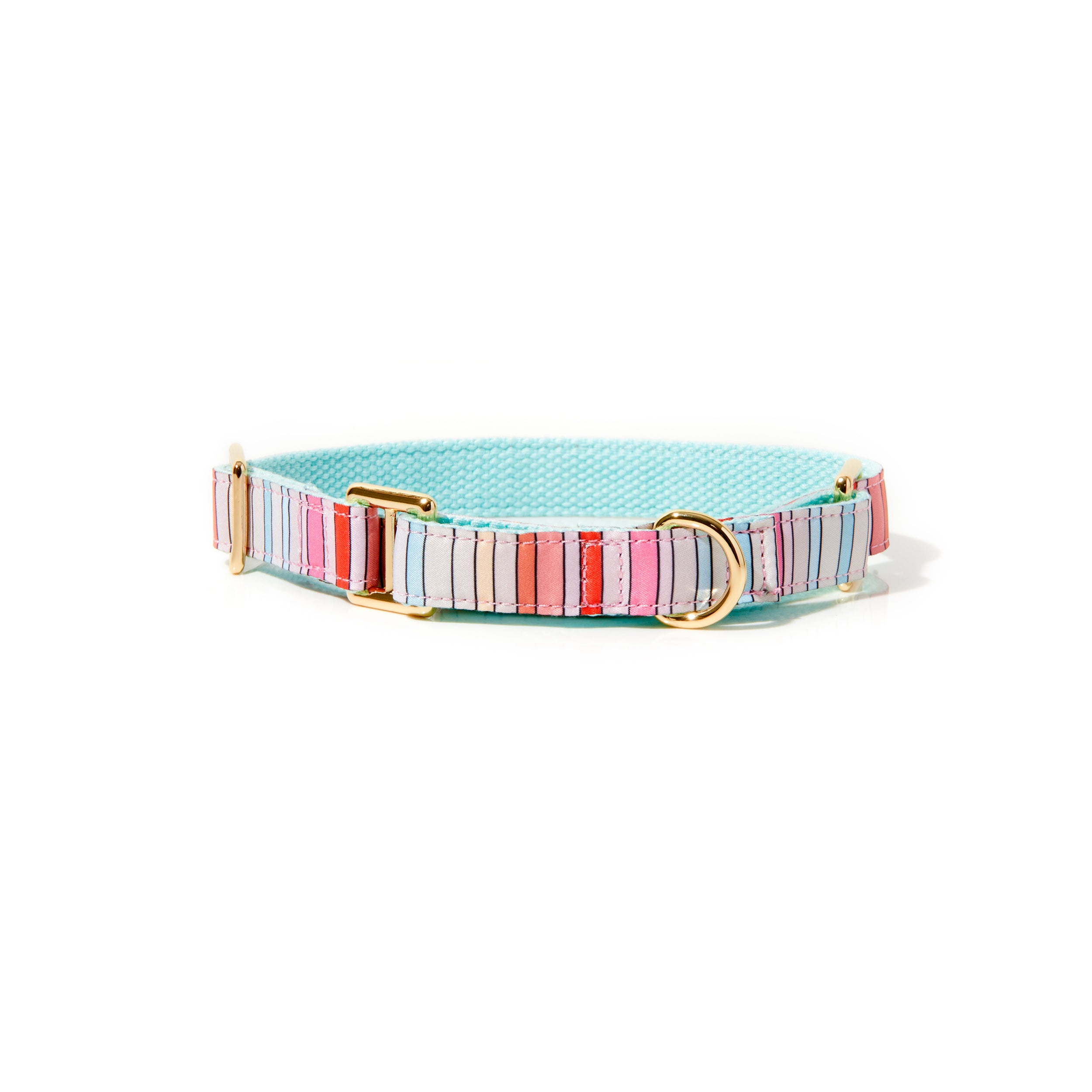BRANDI STRIPE MARTINGALE DOG COLLAR