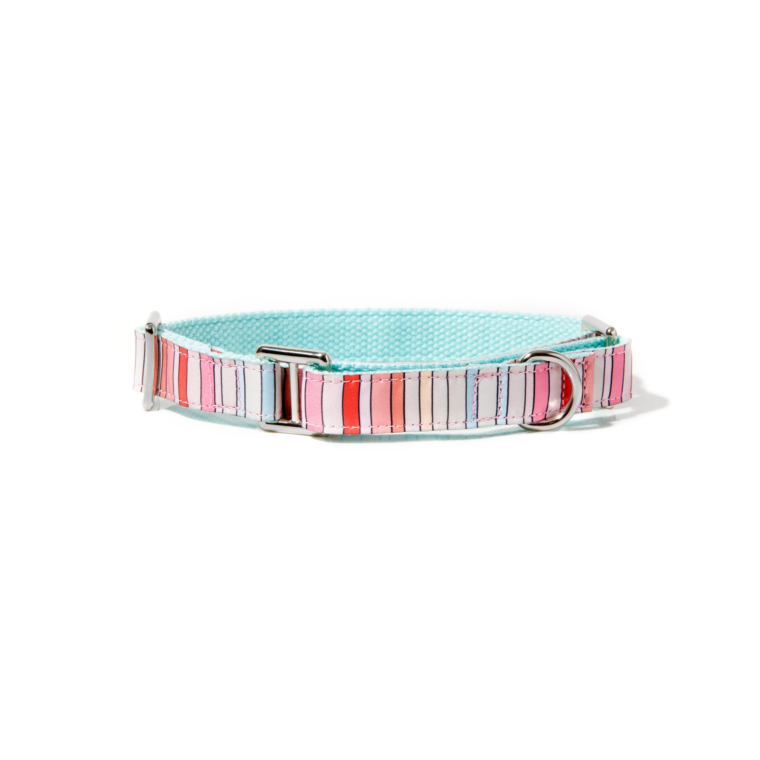 BRANDI STRIPE MARTINGALE DOG COLLAR