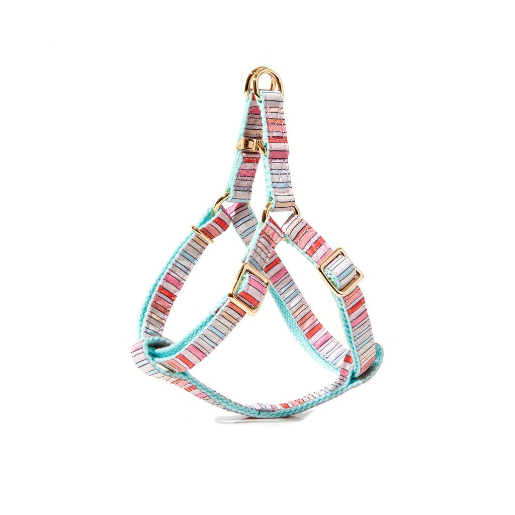 BRANDI STRIPE DOG HARNESS
