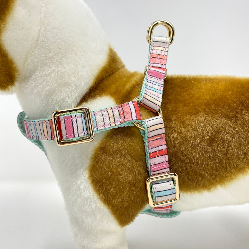 BRANDI STRIPE DOG HARNESS