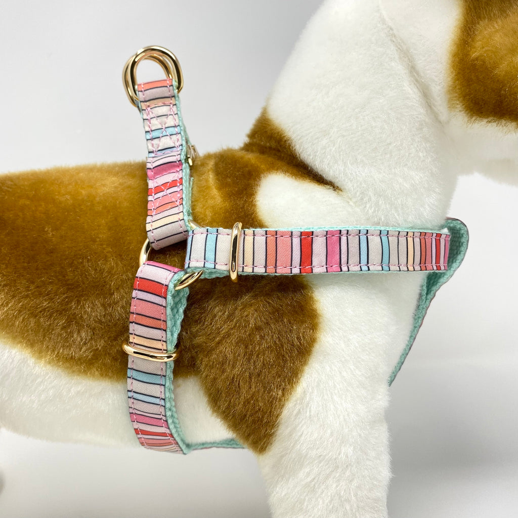 BRANDI STRIPE DOG HARNESS