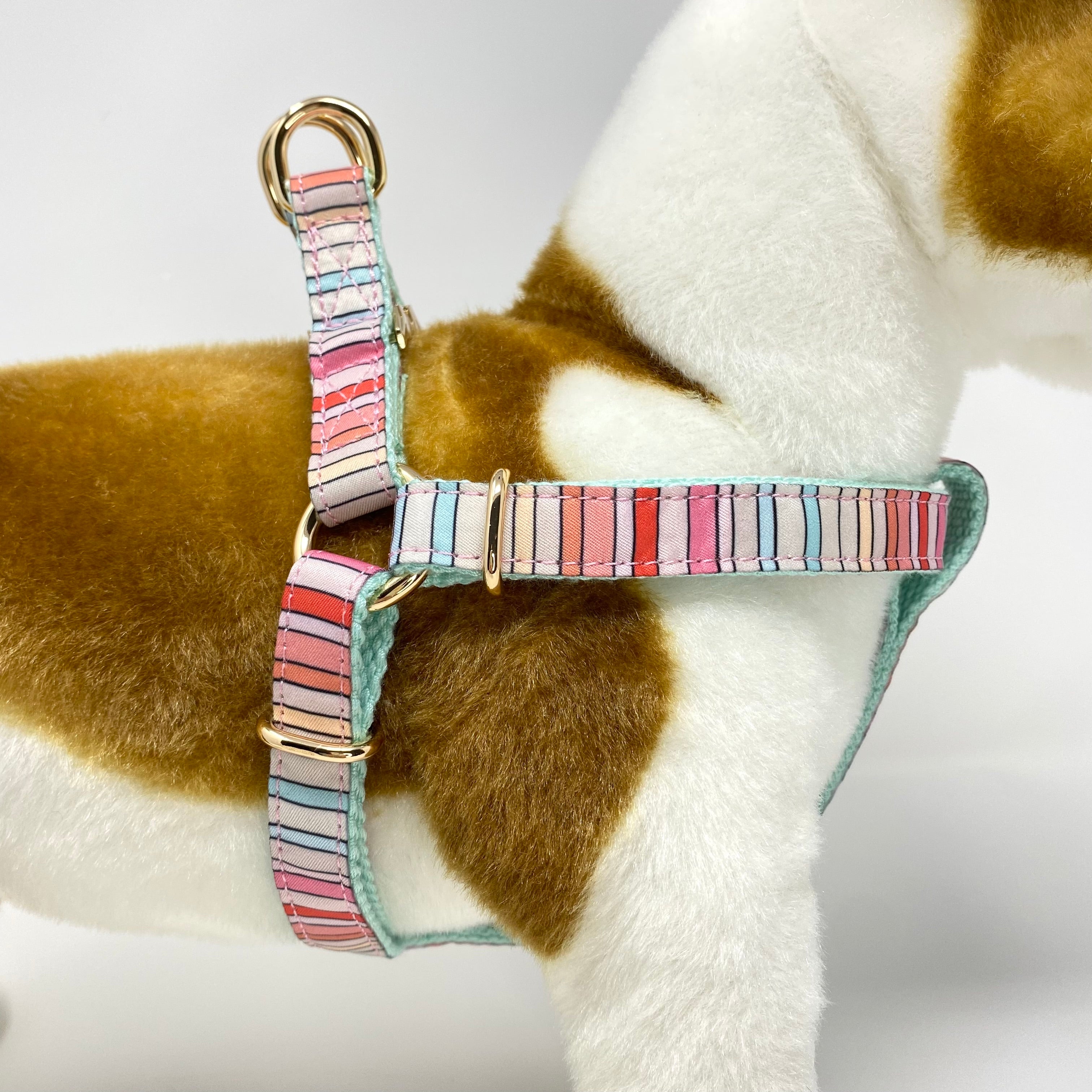 BRANDI STRIPE DOG HARNESS