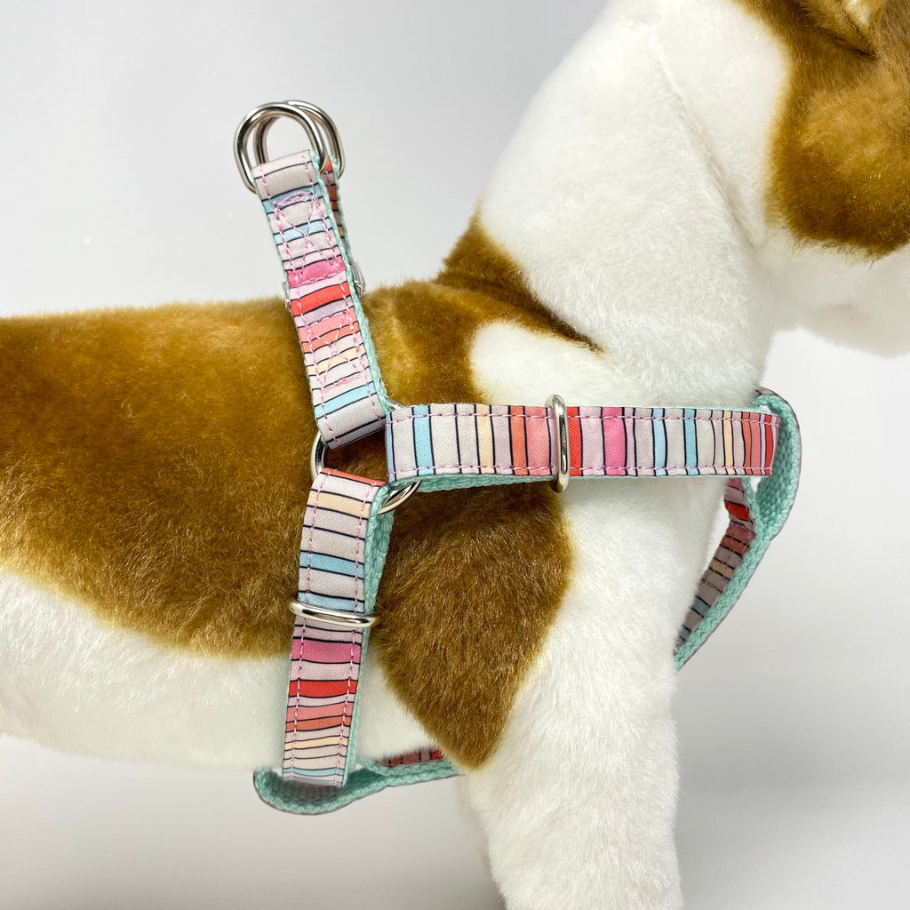 BRANDI STRIPE DOG HARNESS