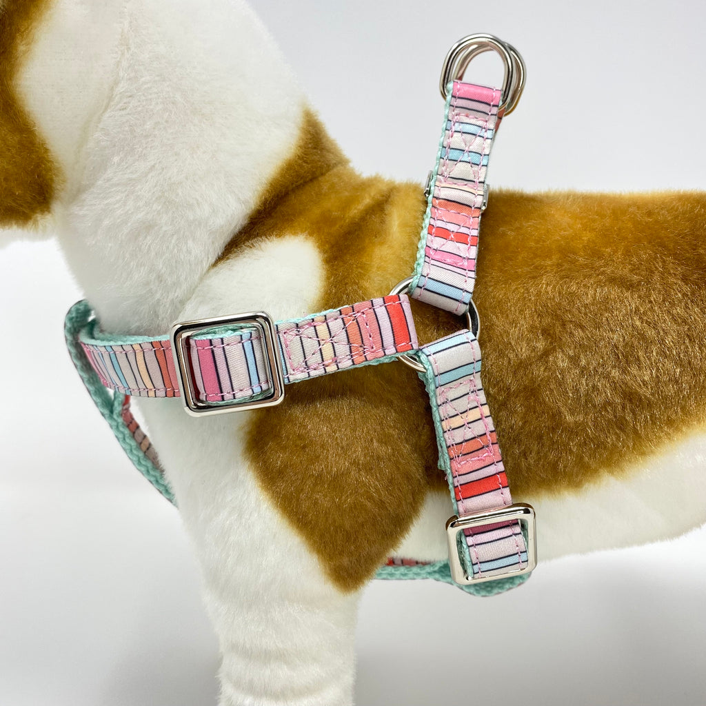 BRANDI STRIPE DOG HARNESS