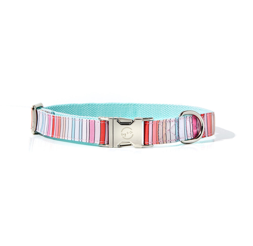 BRANDI STRIPE DOG COLLAR