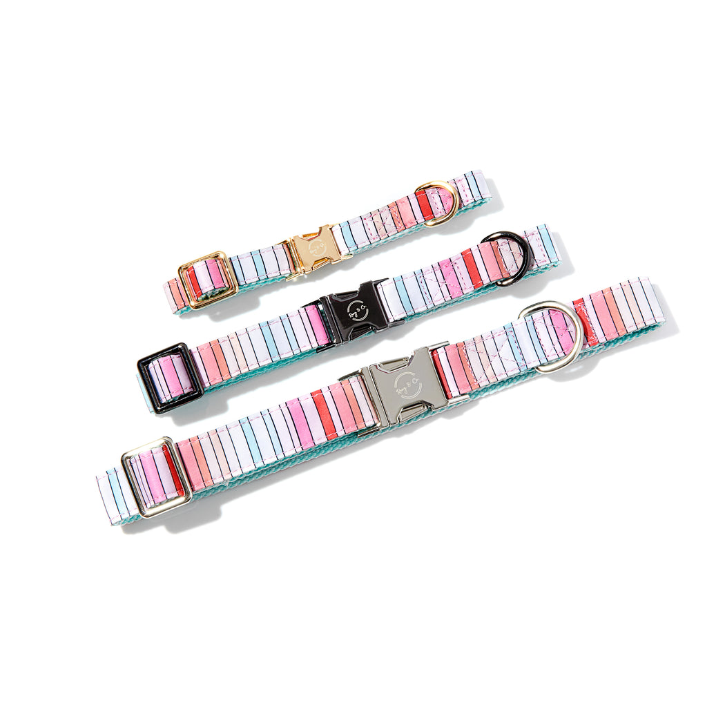 BRANDI STRIPE DOG COLLAR
