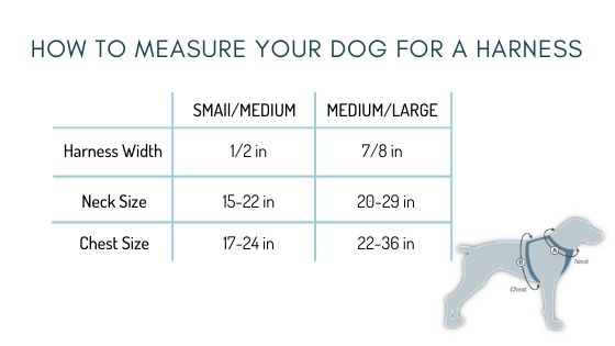 BRANDI STRIPE DOG HARNESS