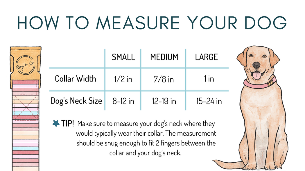 MAMA'S BOY DOG COLLAR