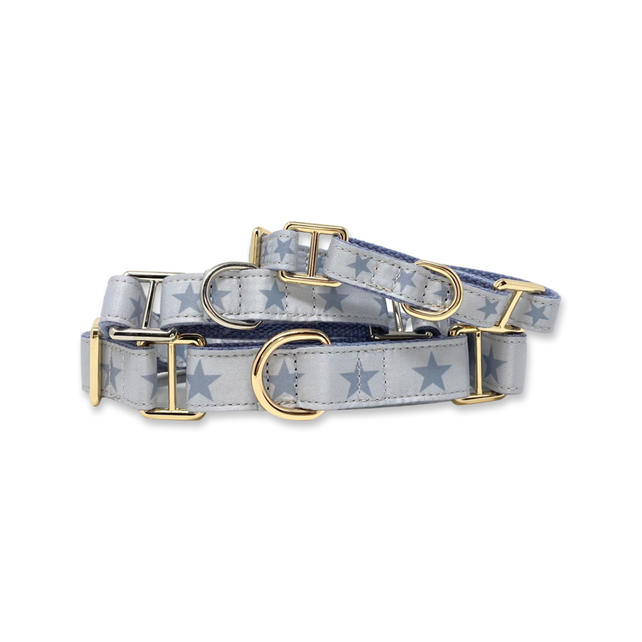 DEMPSEY MARTINGALE DOG COLLAR