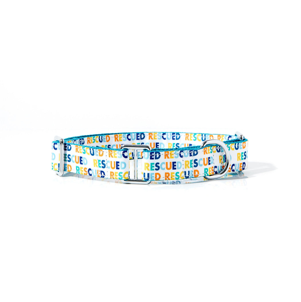 RESCUED MARTINGALE DOG COLLAR