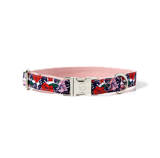 ROXY DOG COLLAR