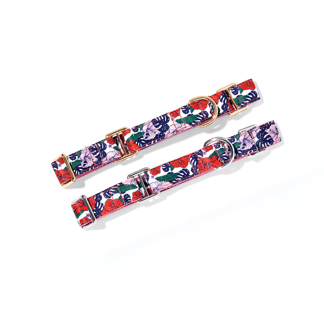 ROXY MARTINGALE DOG COLLAR