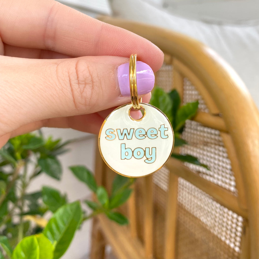 Boy dog sales tags